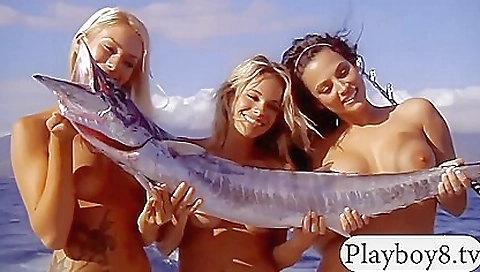 Ta note of al locom feverishlyers